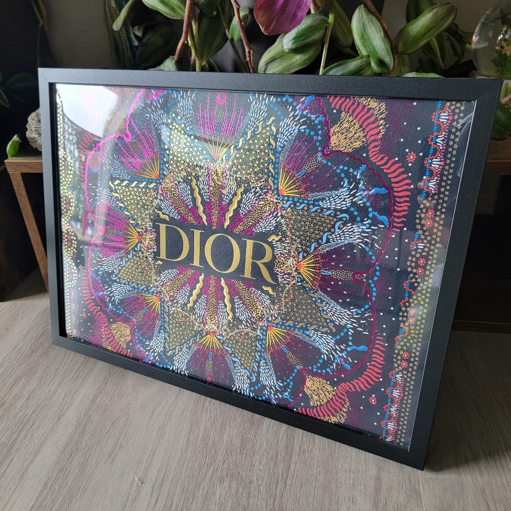 Limited Edition Authentic Dior Shopping Bag - Framed